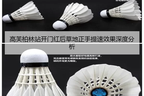高芙柏林站开门红后草地正手提速效果深度分析